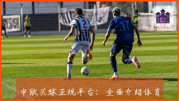 中欧买球正规平台：全面介绍体育直播入口、功能与使用体验指南