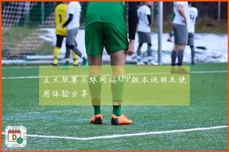 五大联赛买球网站APP版本说明及使用体验分享