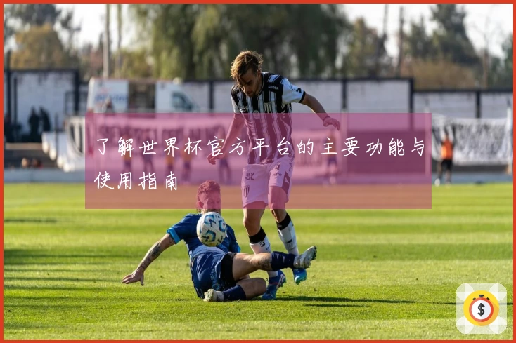 了解世界杯官方平台的主要功能与使用指南